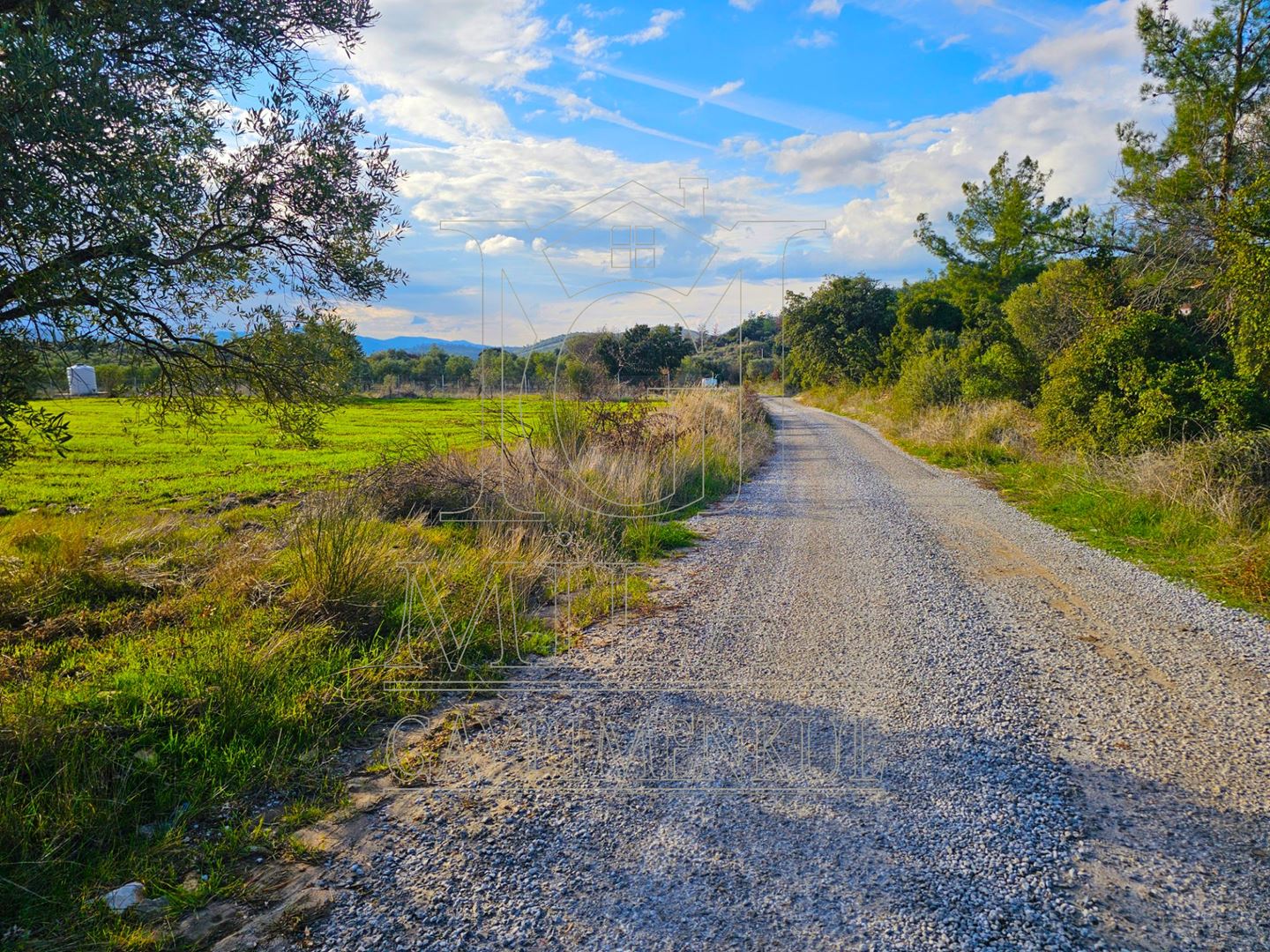 Milas Aslanyaka Mahallesinde 13.076 M² Satılık Çiftlik ArazisiMuğla, Milas, Aslanyaka - 19