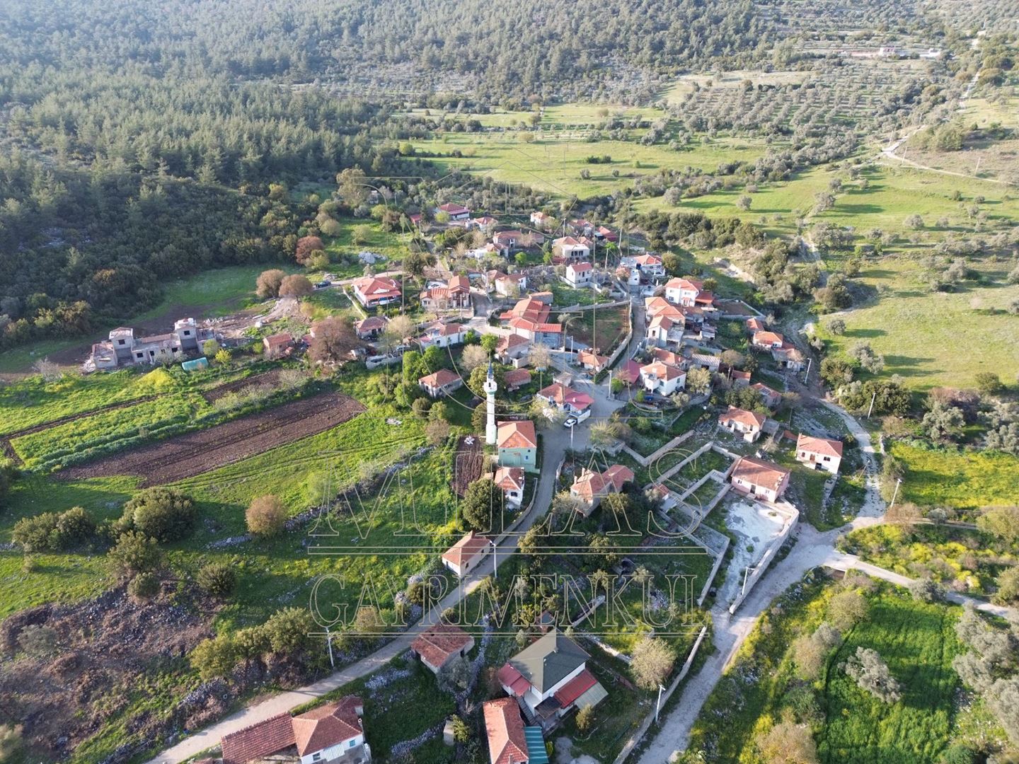 Milas Aslanyaka Mahallesinde 13.076 M² Satılık Çiftlik ArazisiMuğla, Milas, Aslanyaka