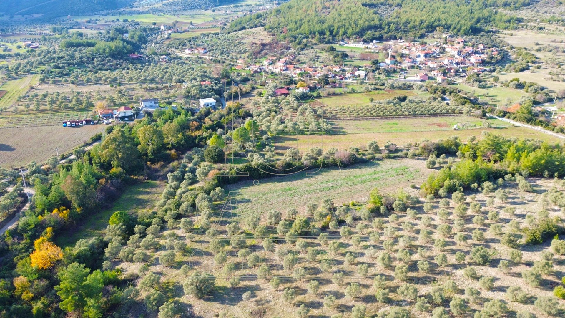 Milas Aslanyaka Mahallesinde 13.076 M² Satılık Çiftlik ArazisiMuğla, Milas, Aslanyaka - 12