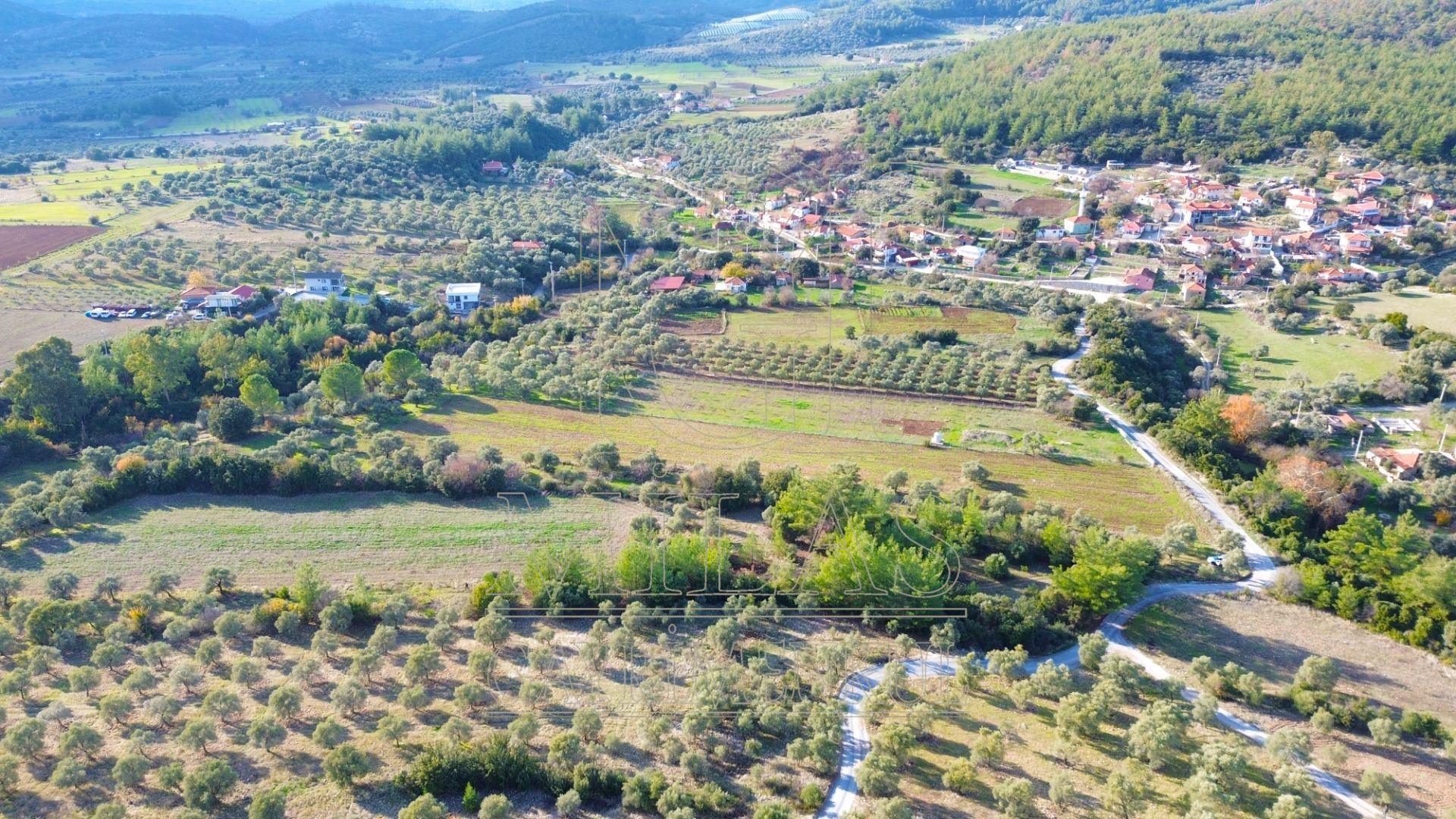 Milas Aslanyaka Mahallesinde 13.076 M² Satılık Çiftlik ArazisiMuğla, Milas, Aslanyaka - 14