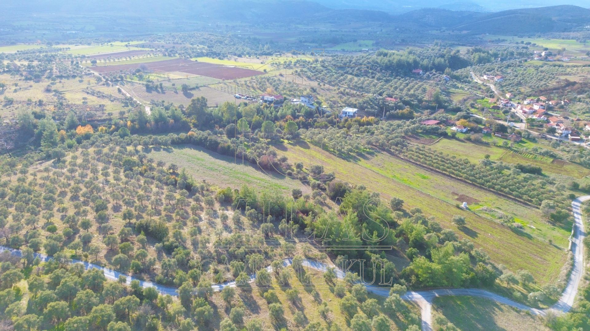 Milas Aslanyaka Mahallesinde 13.076 M² Satılık Çiftlik ArazisiMuğla, Milas, Aslanyaka - 17