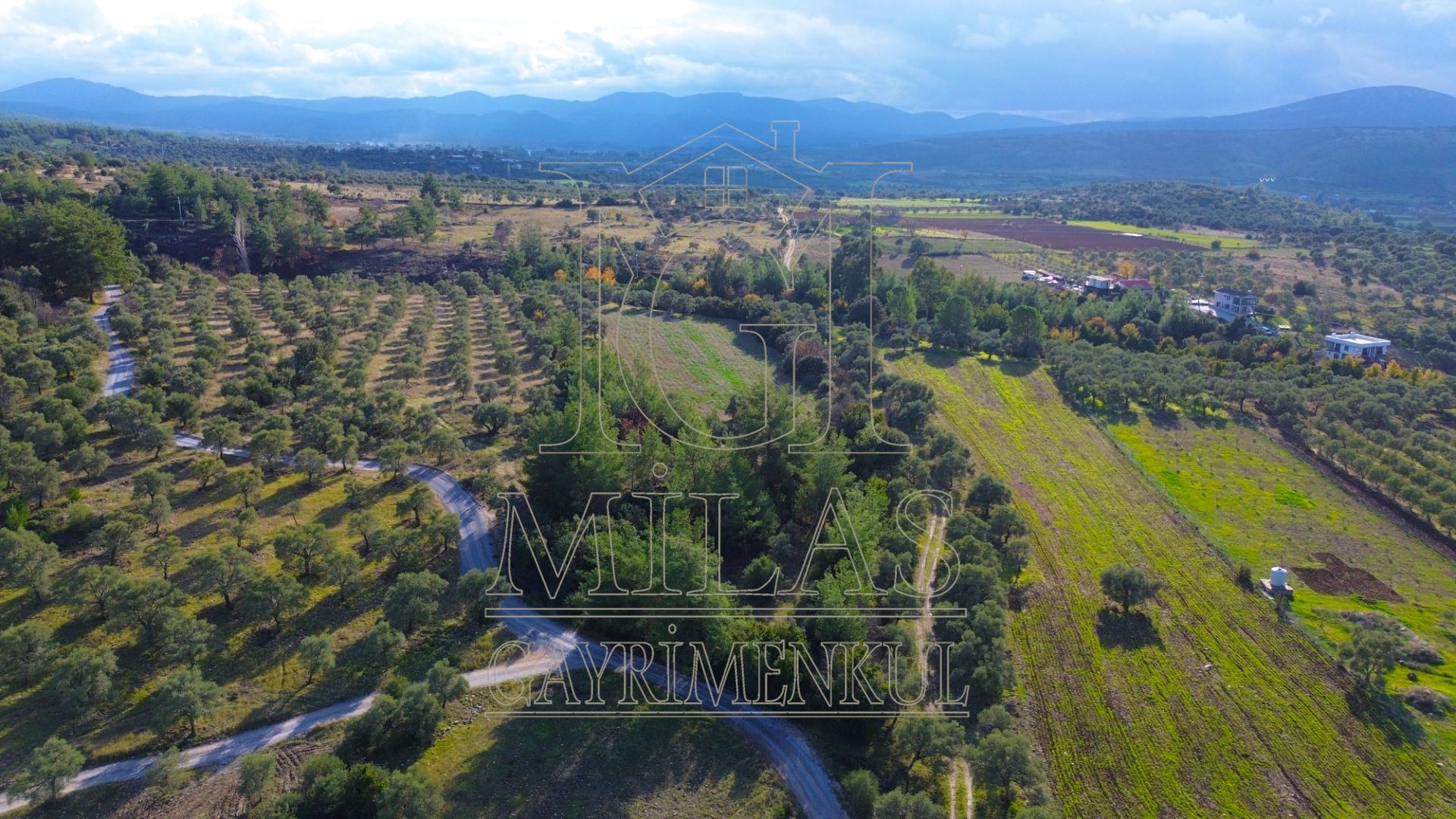 Milas Aslanyaka Mahallesinde 13.076 M² Satılık Çiftlik ArazisiMuğla, Milas, Aslanyaka - 18