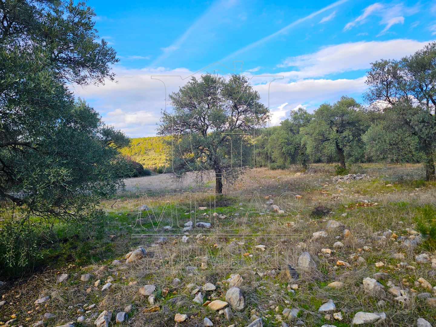 Milas Aslanyaka Mahallesinde 13.076 M² Satılık Çiftlik ArazisiMuğla, Milas, Aslanyaka - 27