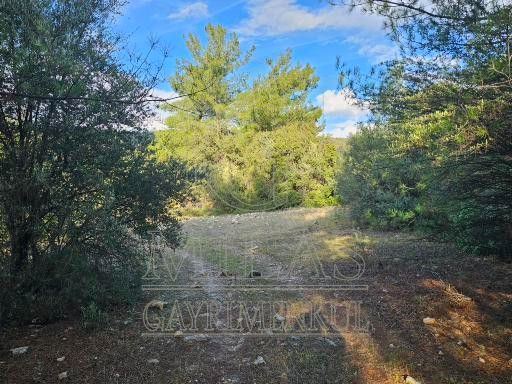 Milas Aslanyaka Mahallesinde 13.076 M² Satılık Çiftlik ArazisiMuğla, Milas, Aslanyaka - 29