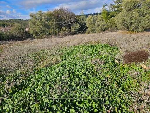 Milas Aslanyaka Mahallesinde 13.076 M² Satılık Çiftlik ArazisiMuğla, Milas, Aslanyaka - 31