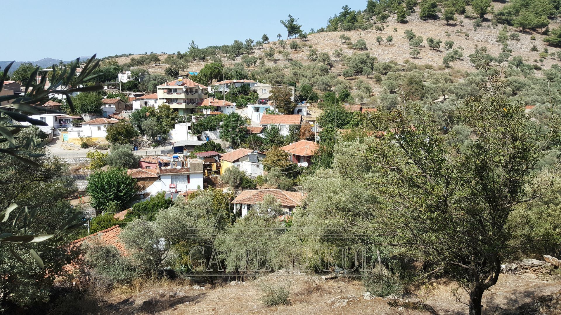 MİLAS SELİMİYE MERKEZDE 3441 M2 SATILIK KONUT İMARLI ARSAMuğla, Milas, Selimiye - 3