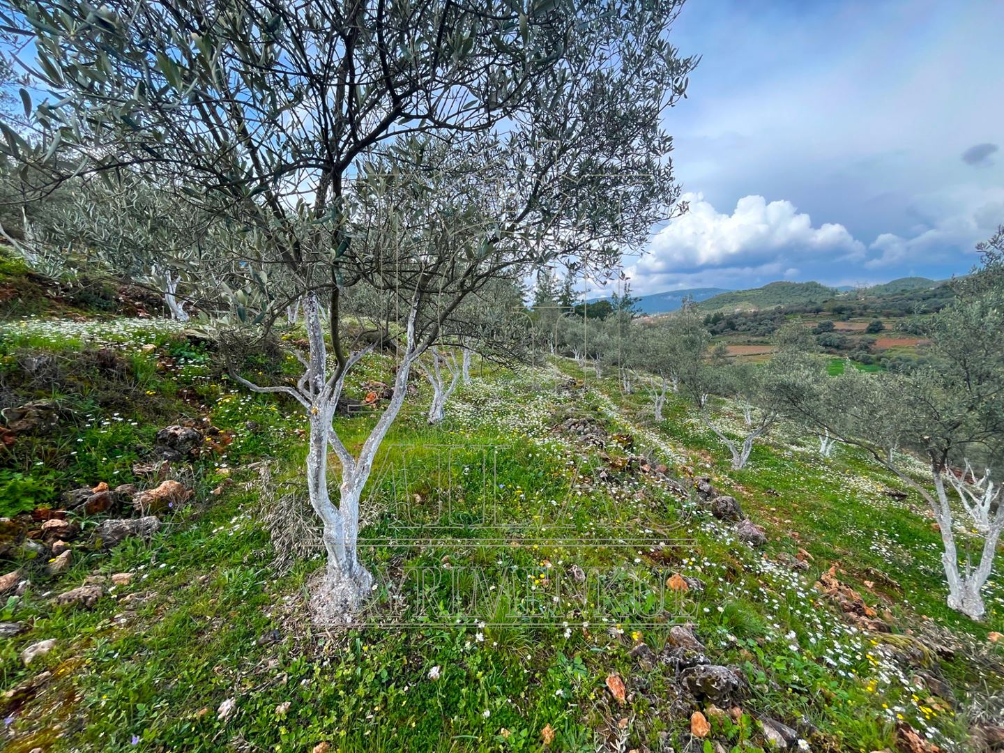 Yatağan Cazgırlarda Köyiçi Dere Kenarı Konut İmarlı ArsaMuğla, Yatağan, Cazkırlar - 14
