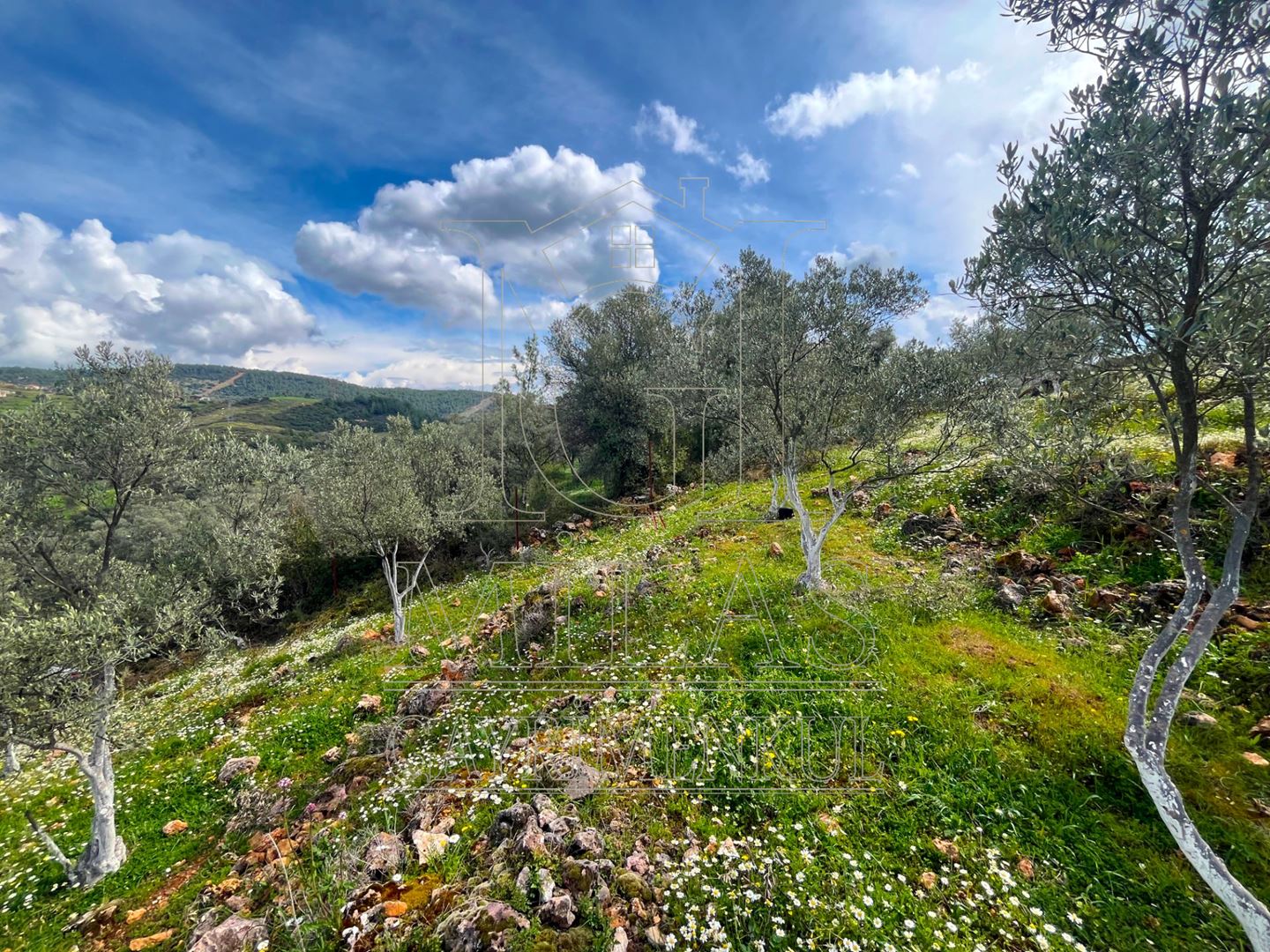 Yatağan Cazgırlarda Köyiçi Dere Kenarı Konut İmarlı ArsaMuğla, Yatağan, Cazkırlar - 17