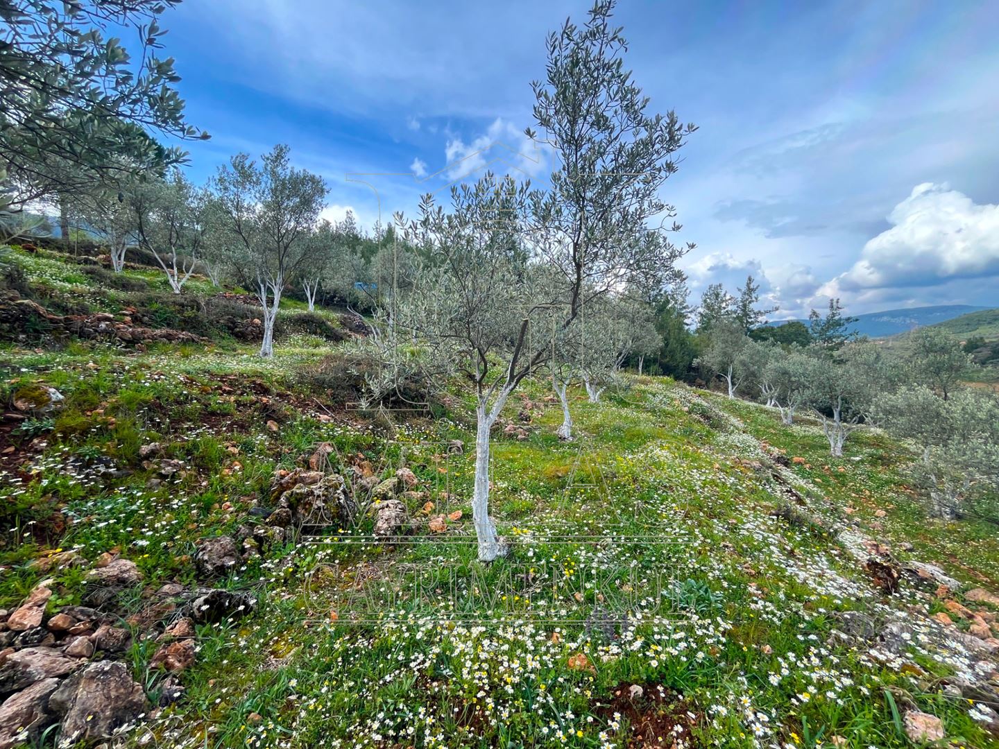 Yatağan Cazgırlarda Köyiçi Dere Kenarı Konut İmarlı ArsaMuğla, Yatağan, Cazkırlar - 16