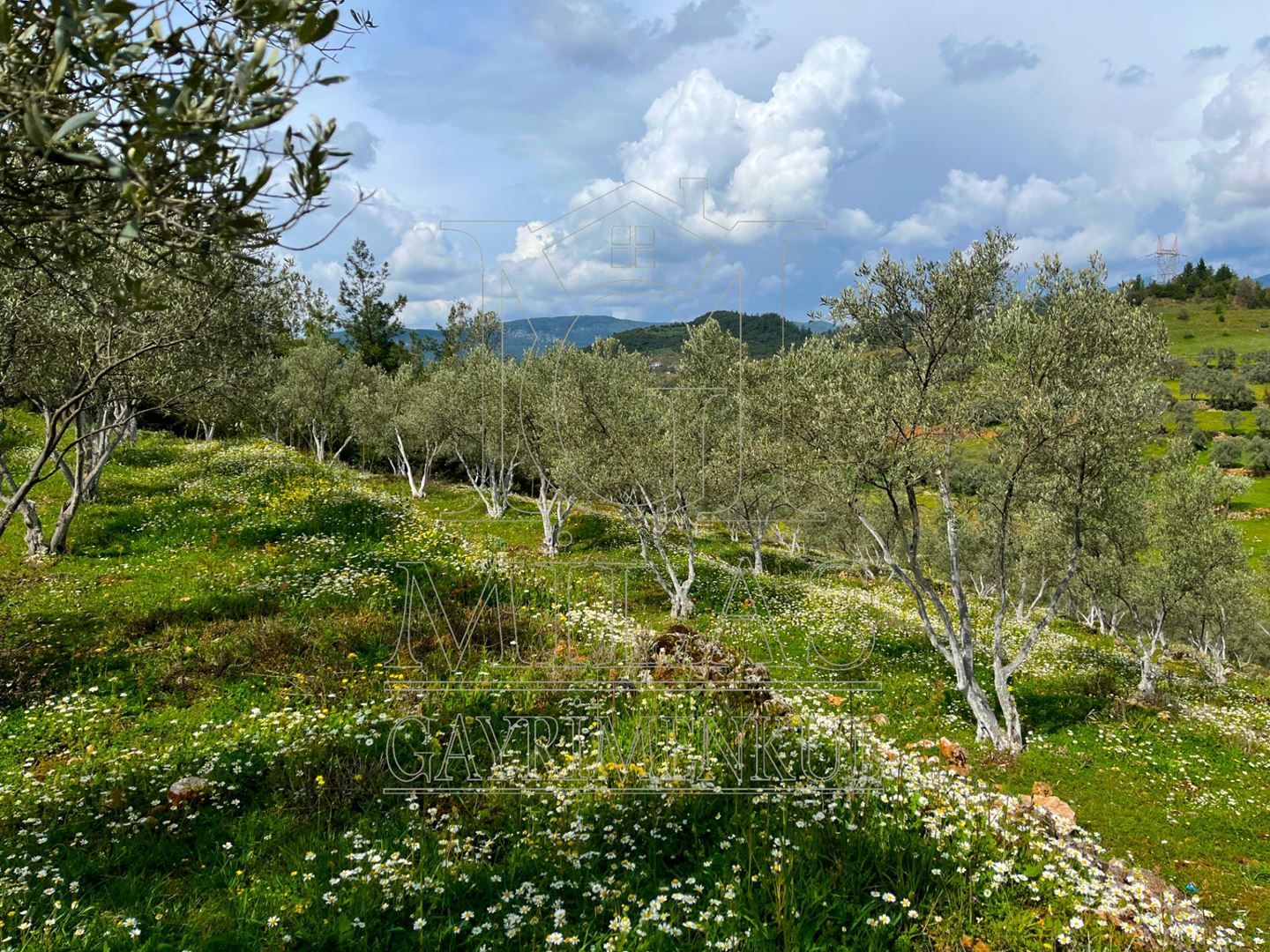 Yatağan Cazgırlarda Köyiçi Dere Kenarı Konut İmarlı ArsaMuğla, Yatağan, Cazkırlar - 19