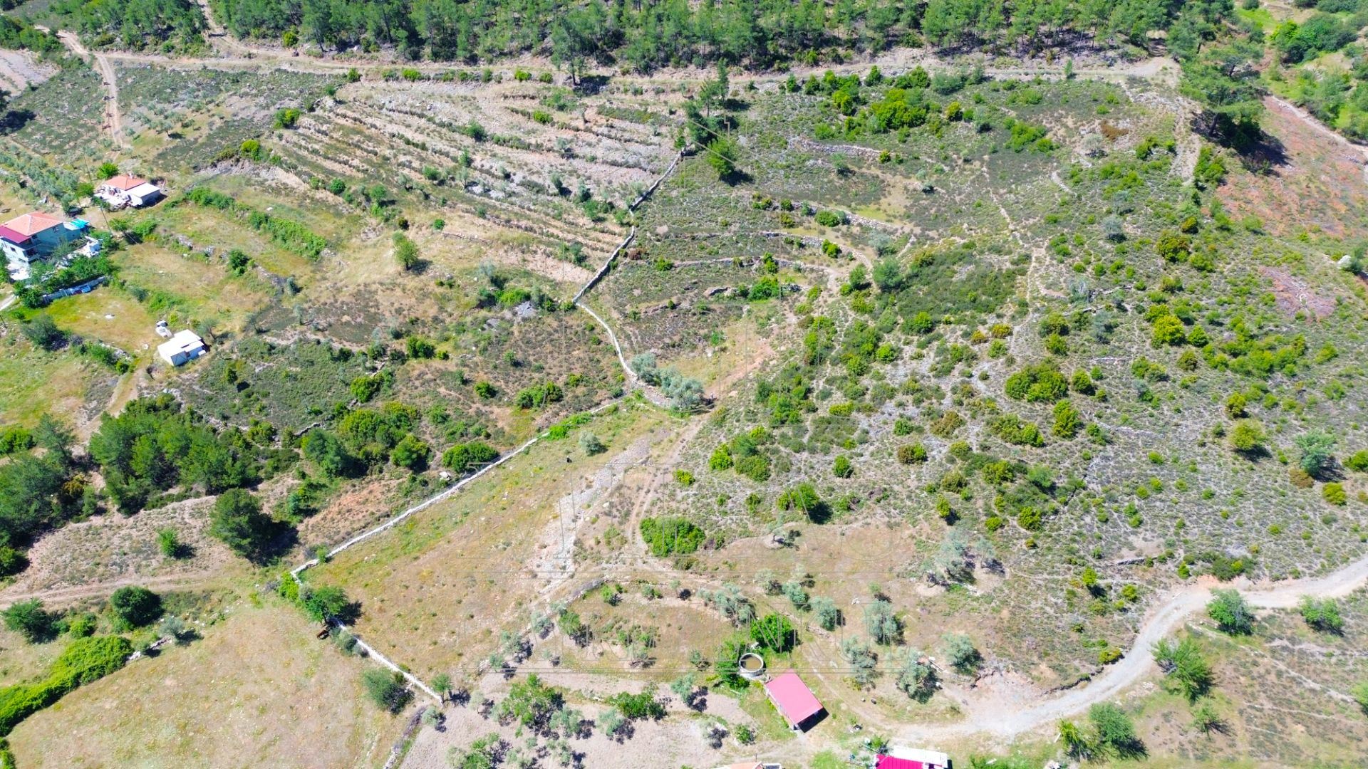 Yatağan Bencikte Doğa Manzaralı 9467M² Satılık Çiftlik ArazisiMuğla, Yatağan, Bencik - 12