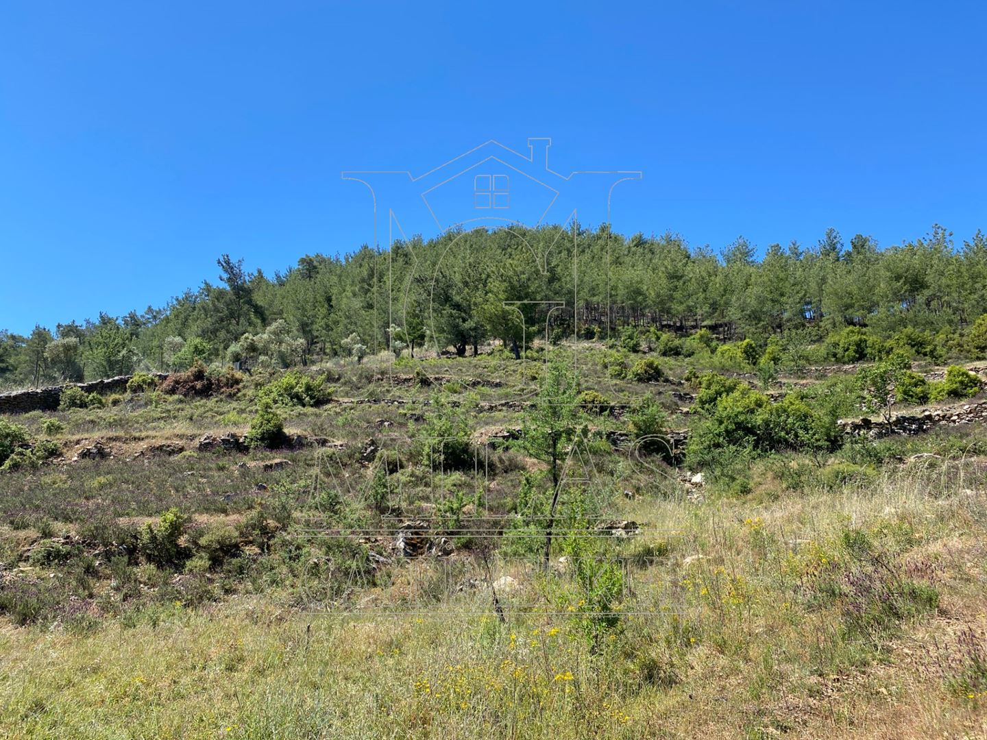 Yatağan Bencikte Doğa Manzaralı 9467M² Satılık Çiftlik ArazisiMuğla, Yatağan, Bencik - 27