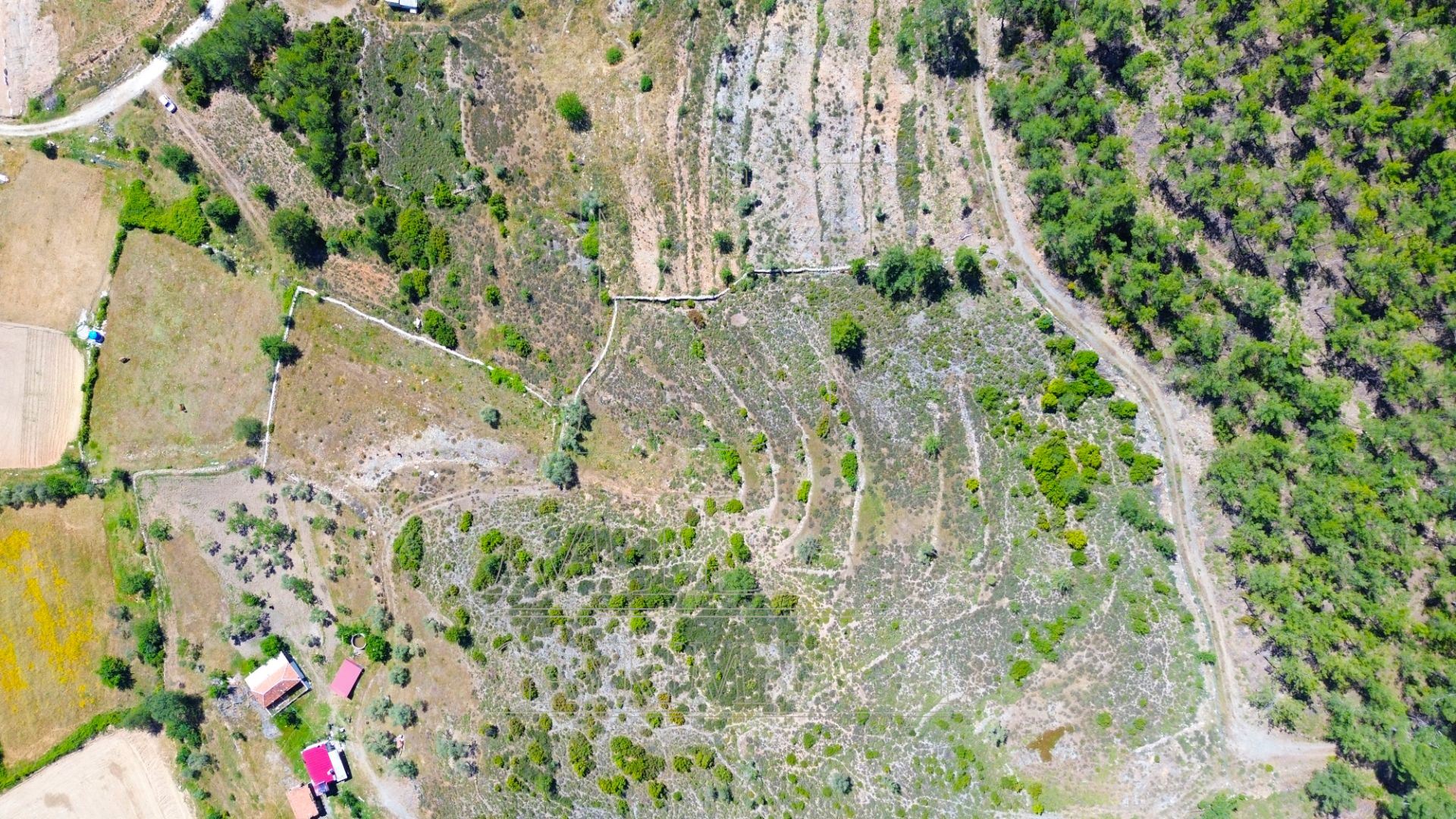 Yatağan Bencikte Doğa Manzaralı 9467M² Satılık Çiftlik ArazisiMuğla, Yatağan, Bencik - 13