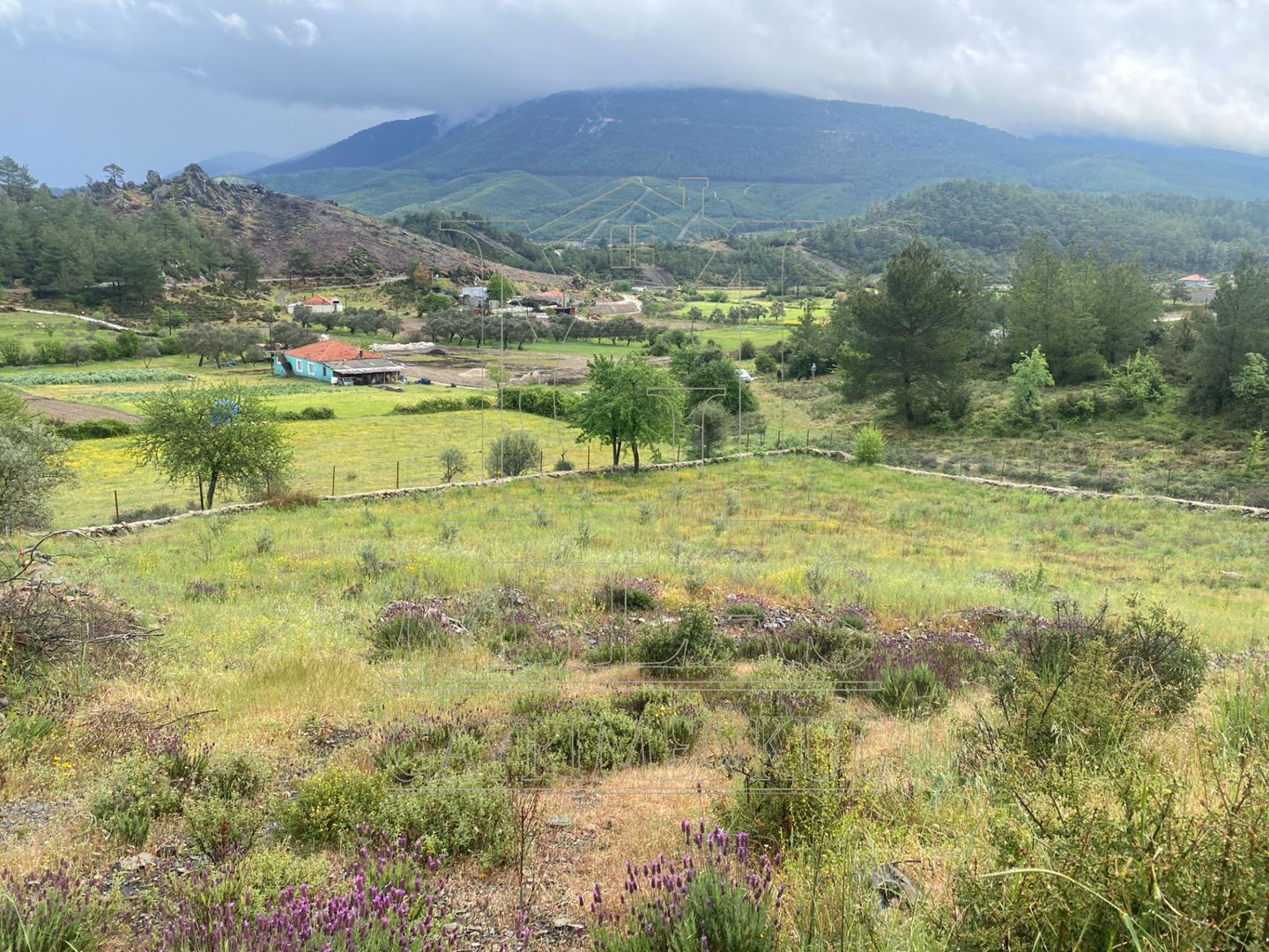 Yatağan Bencikte Doğa Manzaralı 9467M² Satılık Çiftlik ArazisiMuğla, Yatağan, Bencik - 19