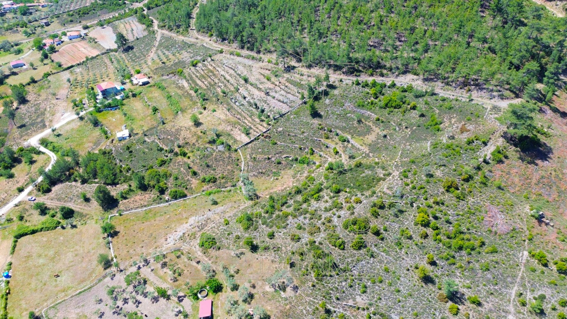 Yatağan Bencikte Doğa Manzaralı 9467M² Satılık Çiftlik ArazisiMuğla, Yatağan, Bencik - 11