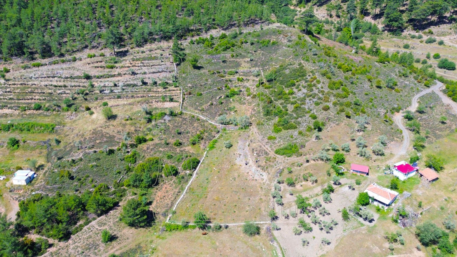 Yatağan Bencikte Doğa Manzaralı 9467M² Satılık Çiftlik ArazisiMuğla, Yatağan, Bencik - 6