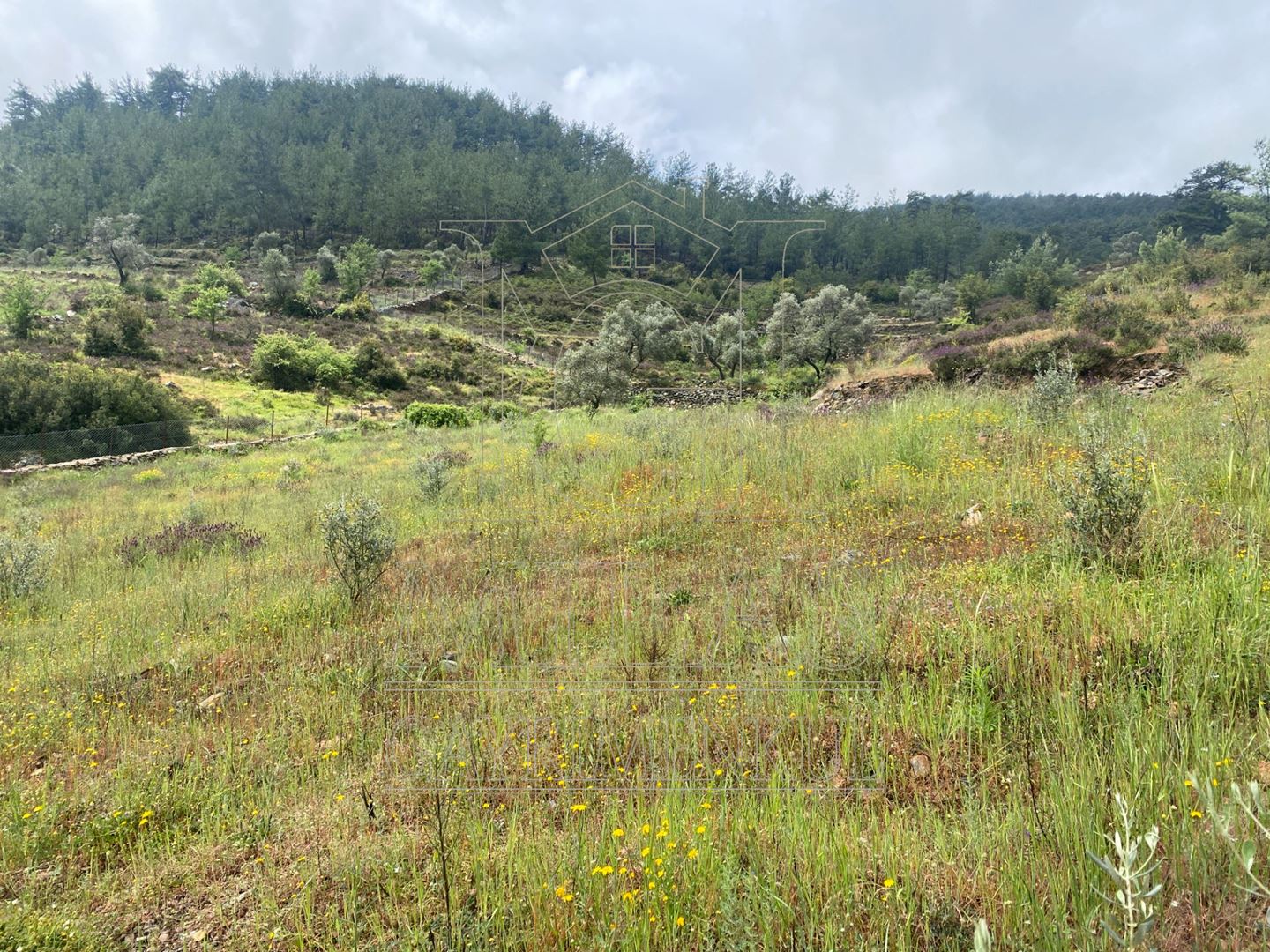 Yatağan Bencikte Doğa Manzaralı 9467M² Satılık Çiftlik ArazisiMuğla, Yatağan, Bencik - 18