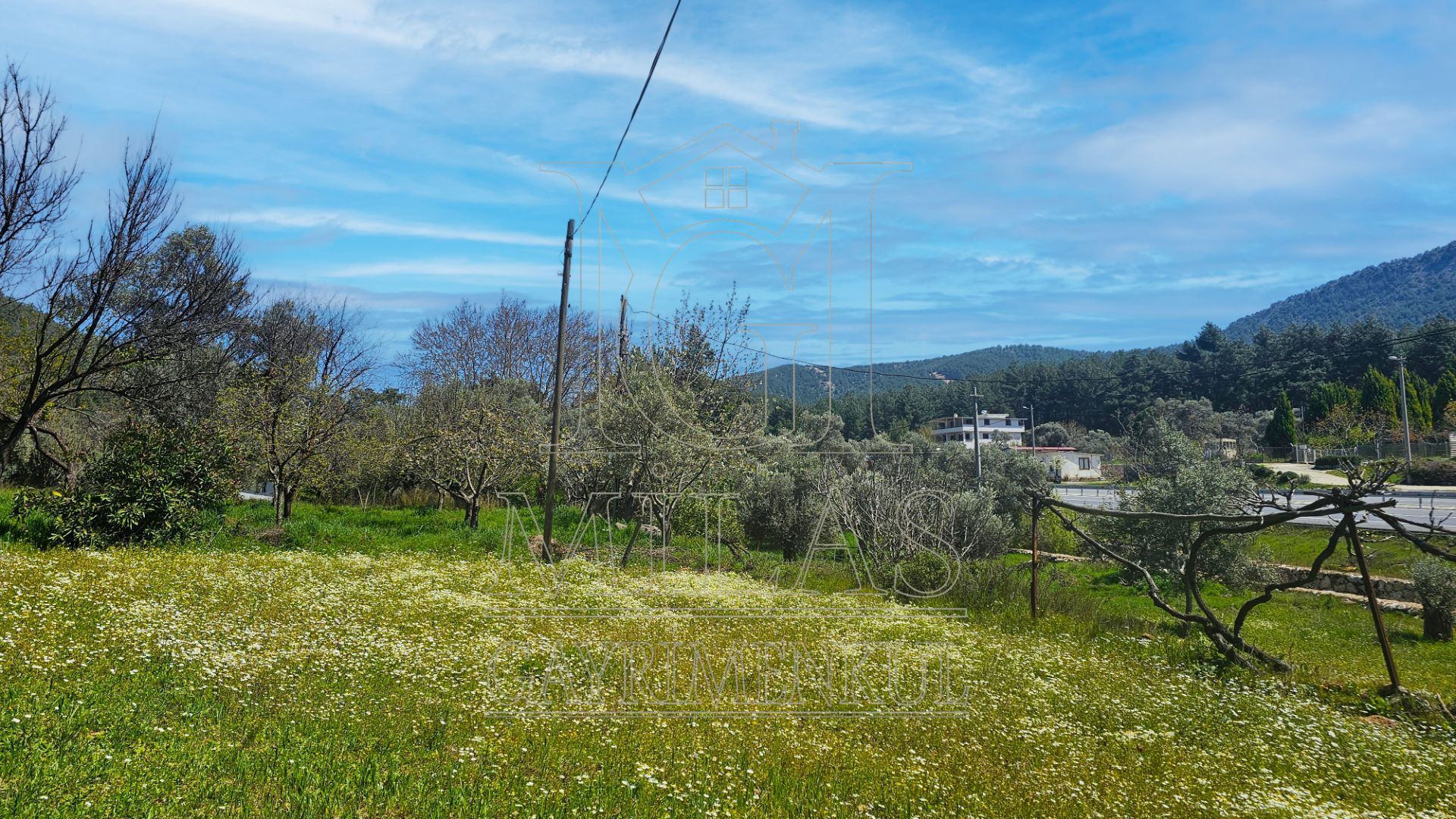 Muğla Bodrum Ana Yola Cepheli Satılık Konut İmarlı ArsaMuğla, Milas, Korucuk - 15