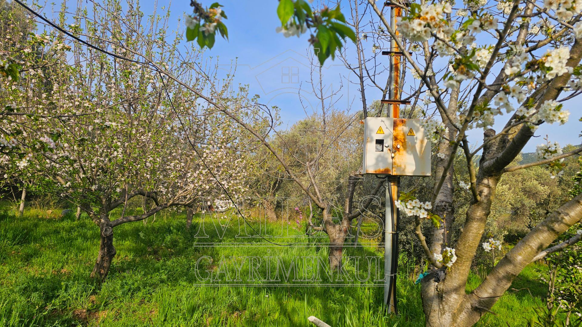 Muğla Bodrum Ana Yola Cepheli Satılık Konut İmarlı ArsaMuğla, Milas, Korucuk - 23