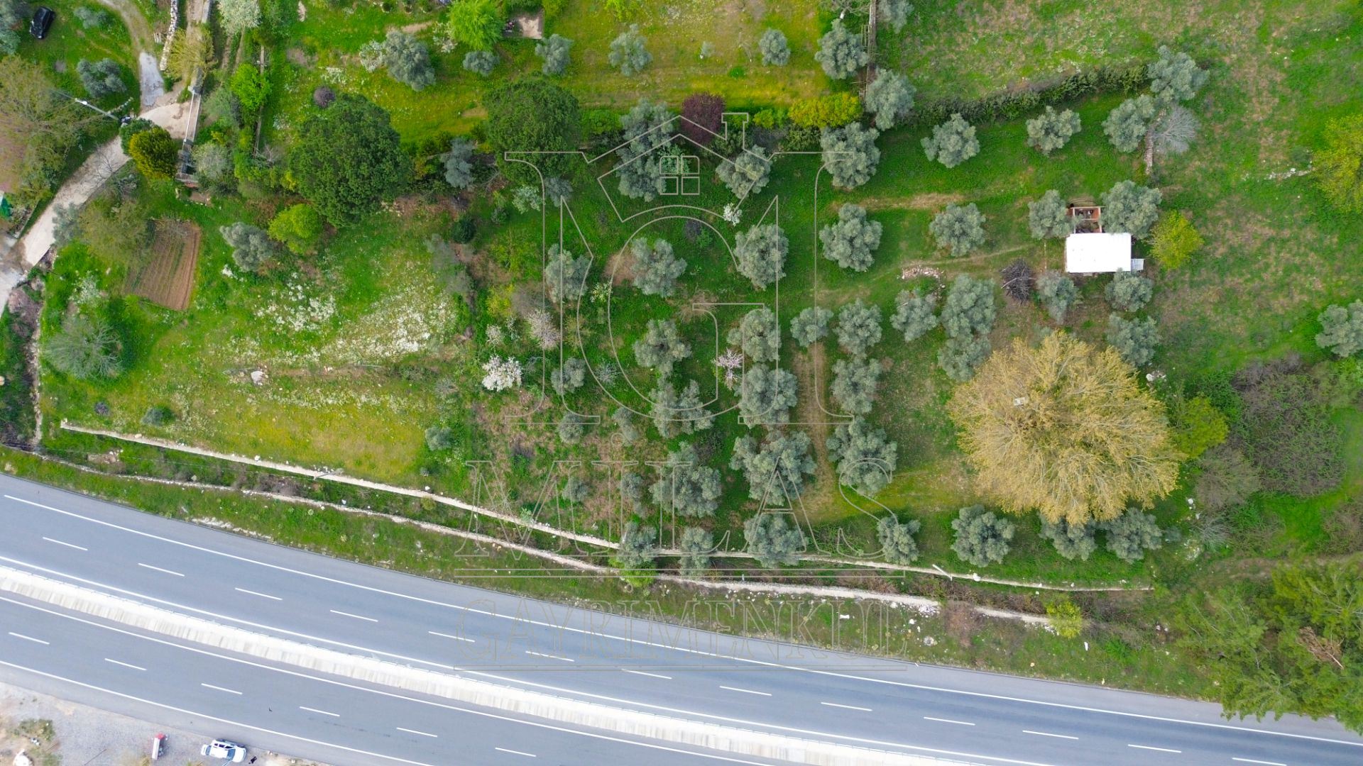 Muğla Bodrum Ana Yola Cepheli Satılık Konut İmarlı ArsaMuğla, Milas, Korucuk - 6