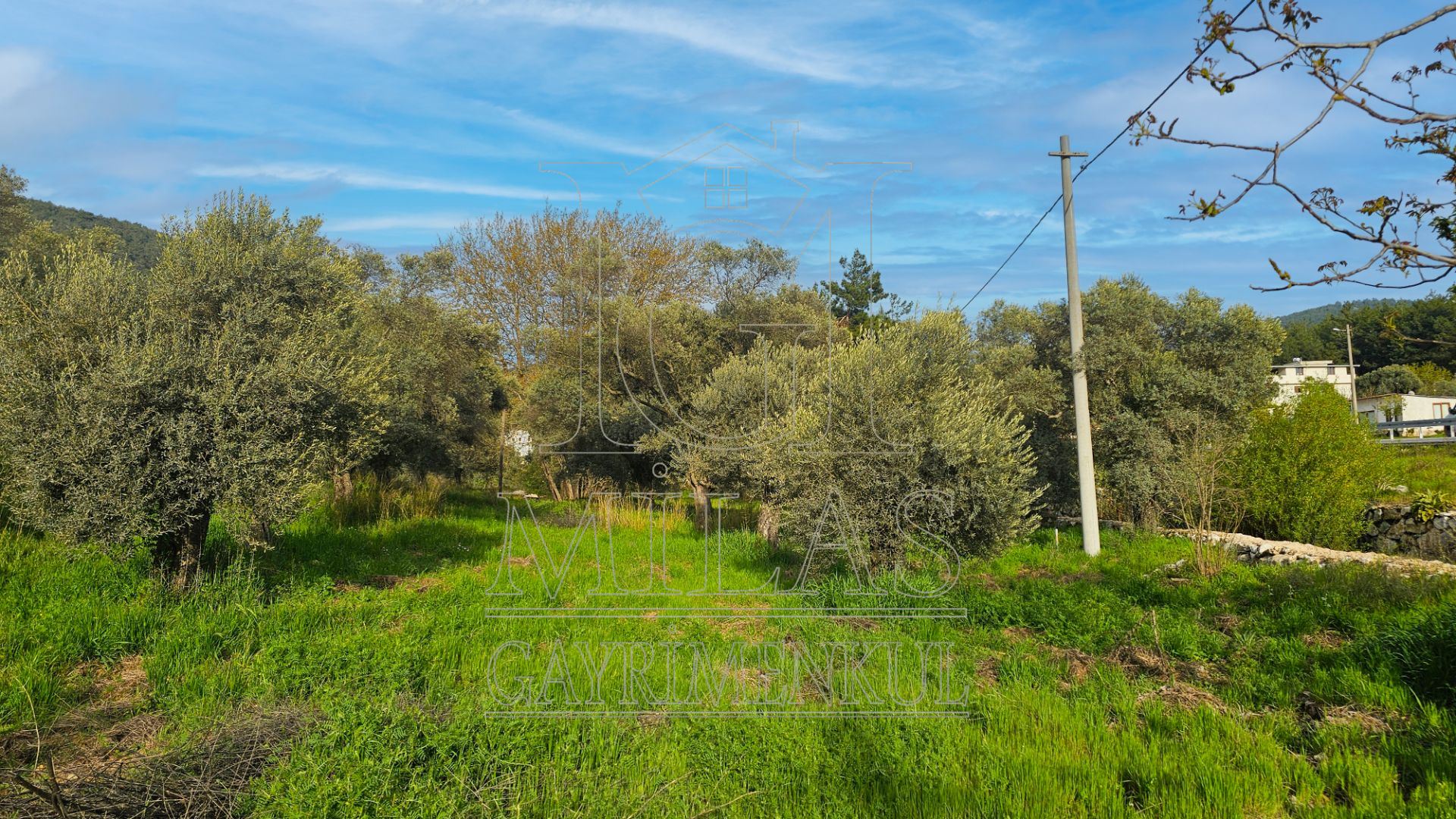 Muğla Bodrum Ana Yola Cepheli Satılık Konut İmarlı ArsaMuğla, Milas, Korucuk - 19