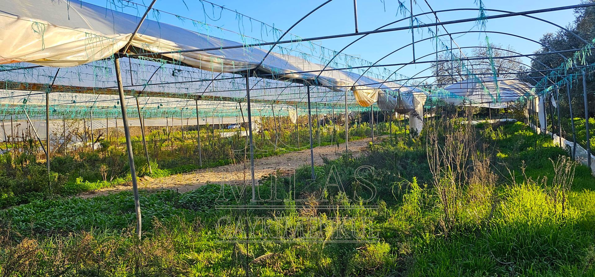 Milas Bahçeburun'da 10 Villalık Satılık ArsaMuğla, Milas, Bahçeburun - 29