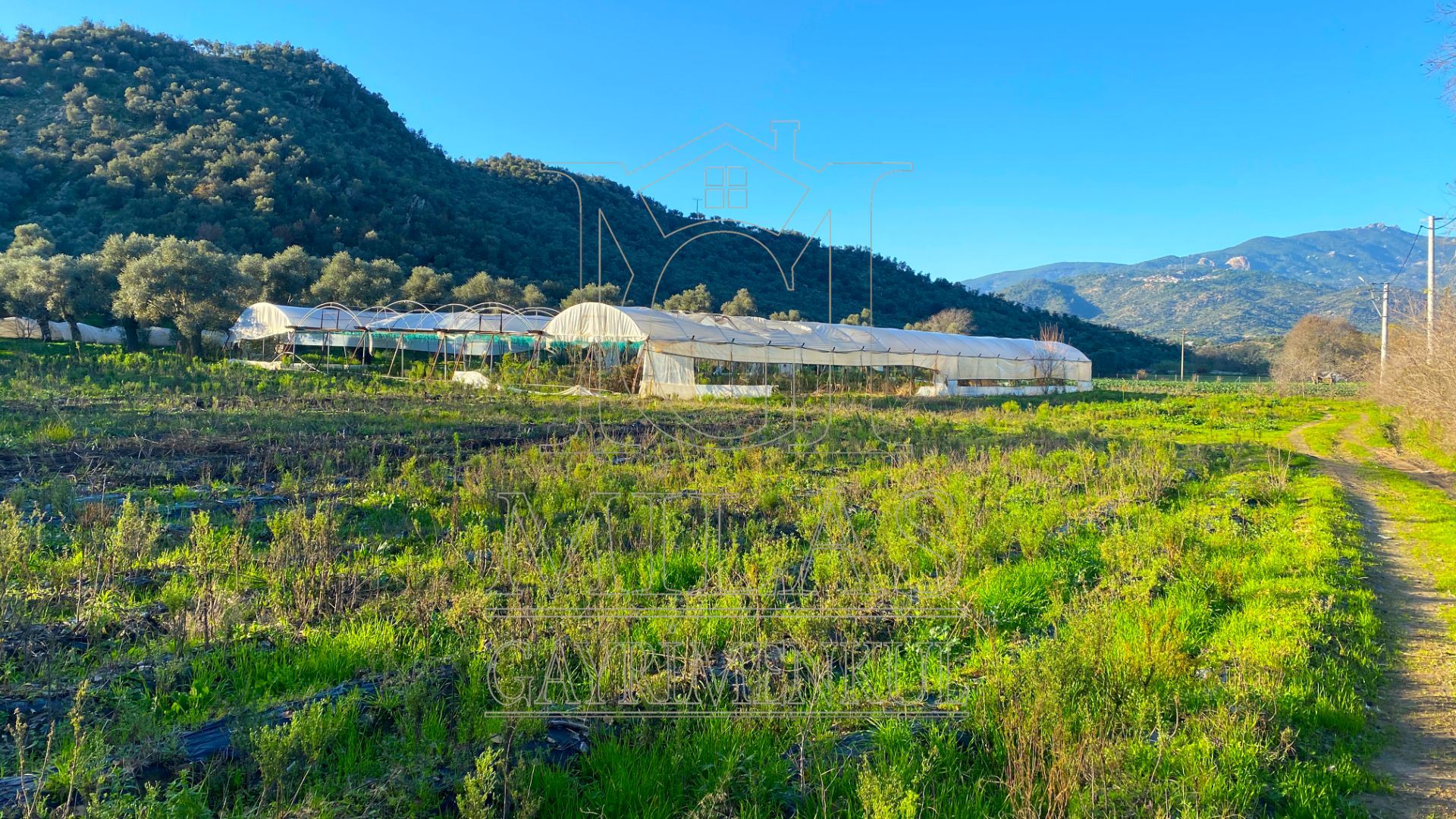 Milas Bahçeburun'da 10 Villalık Satılık ArsaMuğla, Milas, Bahçeburun - 26