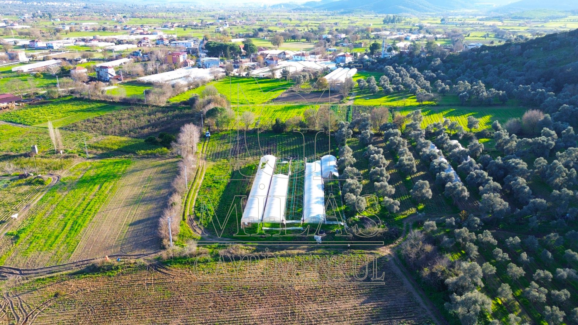 Milas Bahçeburun'da 10 Villalık Satılık ArsaMuğla, Milas, Bahçeburun - 14