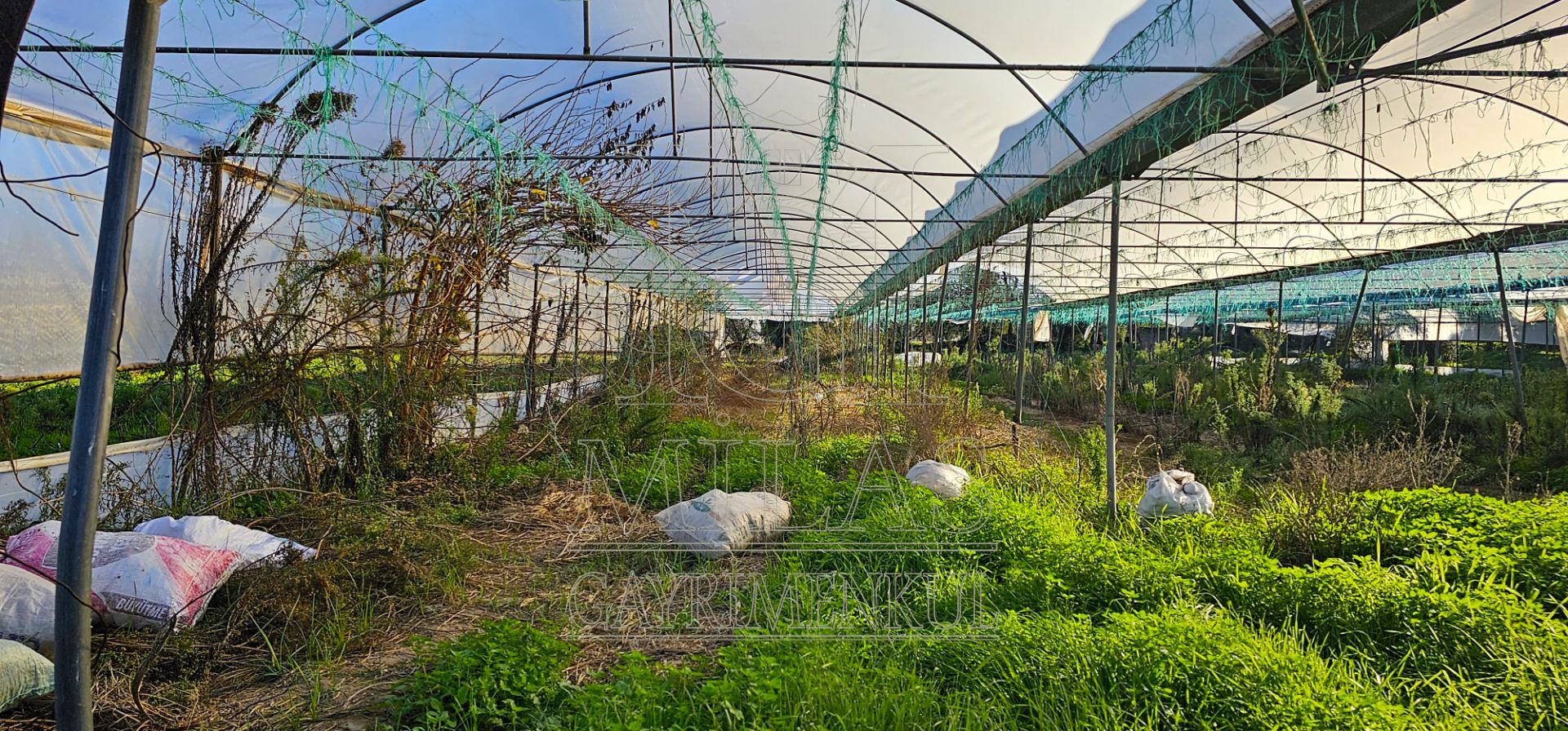 Milas Bahçeburun'da 10 Villalık Satılık ArsaMuğla, Milas, Bahçeburun - 24