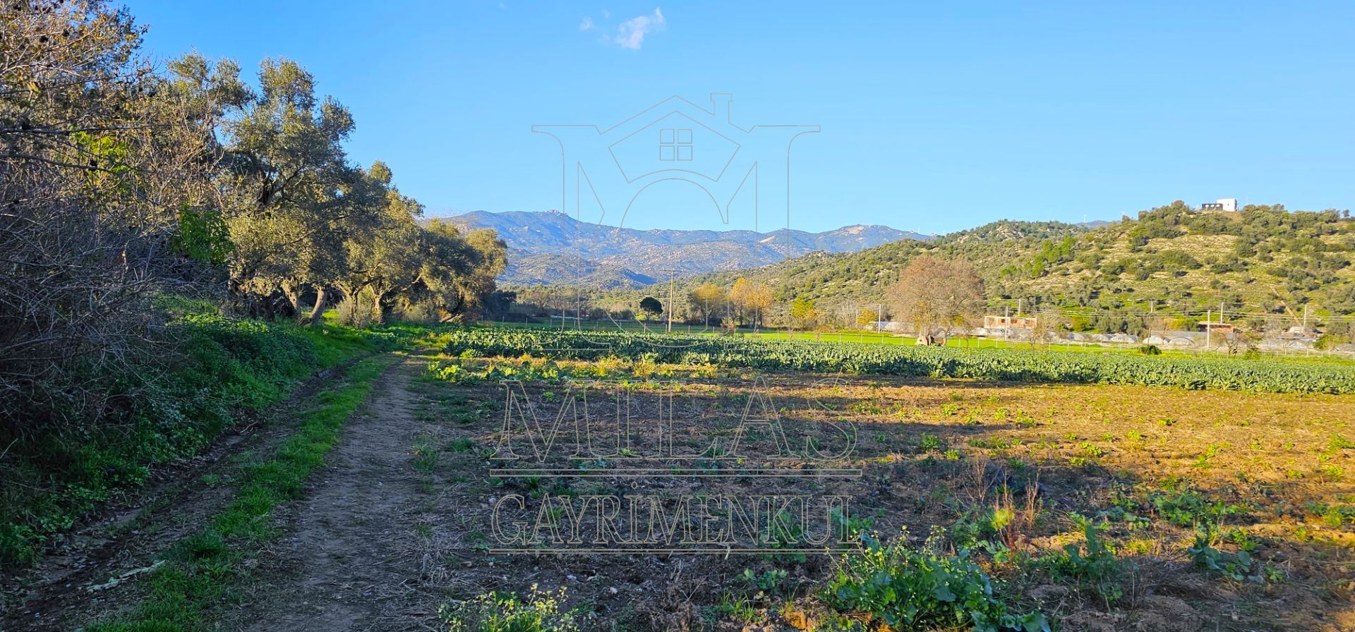 Milas Bahçeburun'da 10 Villalık Satılık ArsaMuğla, Milas, Bahçeburun - 20