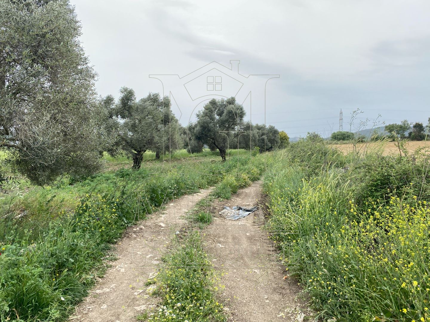 Milas Karacahisar Mahallesinde Satılık Hobi BahçesiMuğla, Milas, Karacahisar - 13