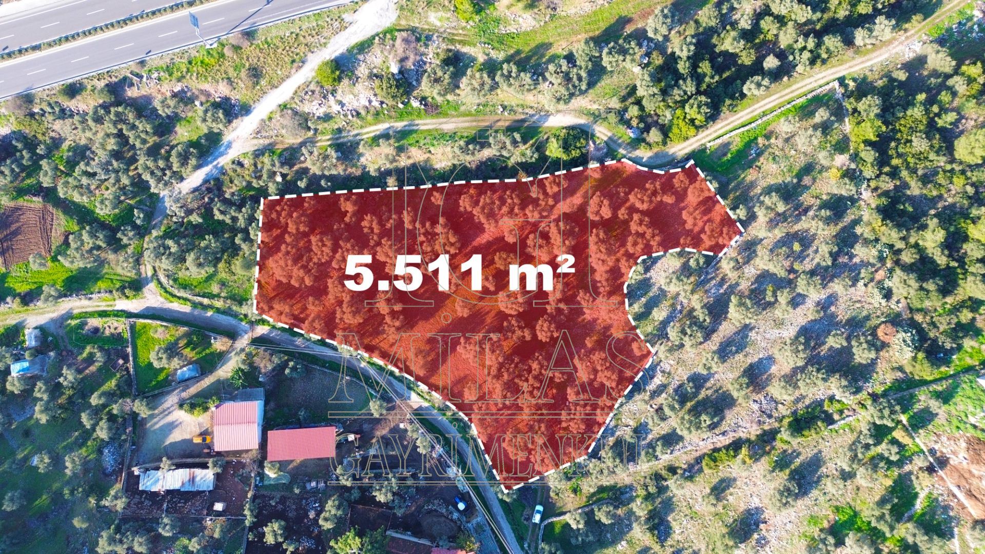 Milas Baharlı Mahallesinde İmar Alanı İçinde 5511 m² ZeytinlikMuğla, Milas, Baharlı - 8