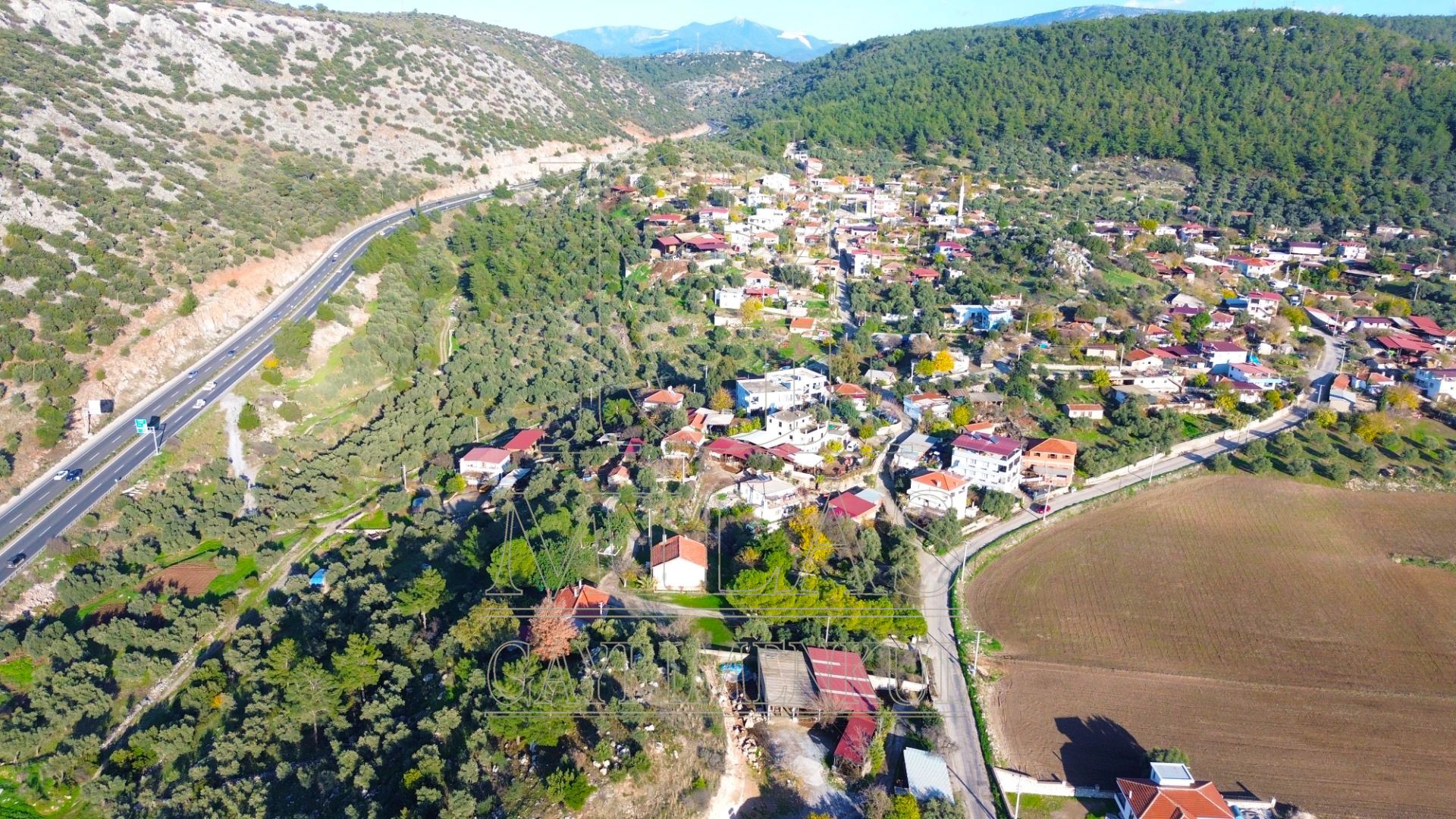 Milas Baharlı Mahallesinde İmar Alanı İçinde 5511 m² ZeytinlikMuğla, Milas, Baharlı