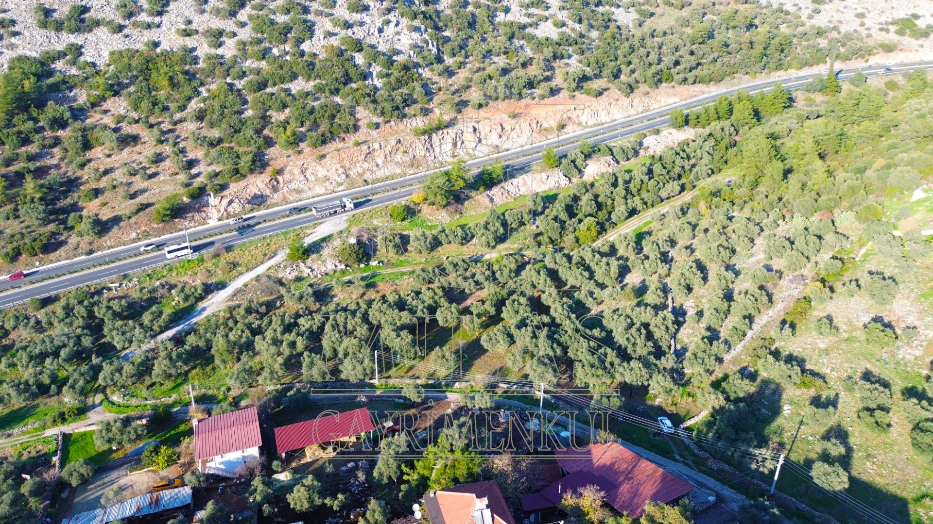 Milas Baharlı Mahallesinde İmar Alanı İçinde 5511 m² ZeytinlikMuğla, Milas, Baharlı - 6