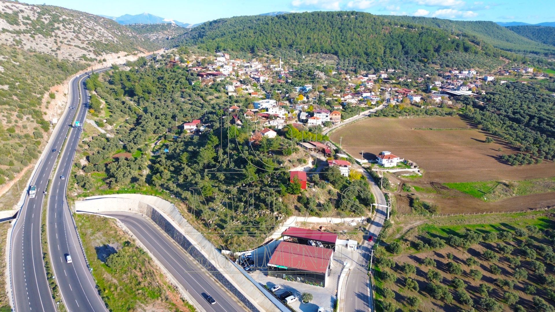 Milas Baharlı Mahallesinde İmar Alanı İçinde 5511 m² ZeytinlikMuğla, Milas, Baharlı - 2