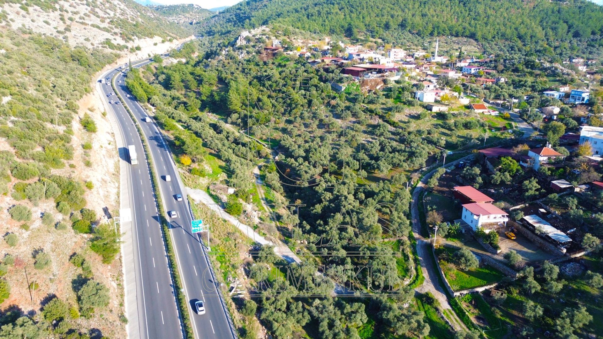 Milas Baharlı Mahallesinde İmar Alanı İçinde 5511 m² ZeytinlikMuğla, Milas, Baharlı - 5