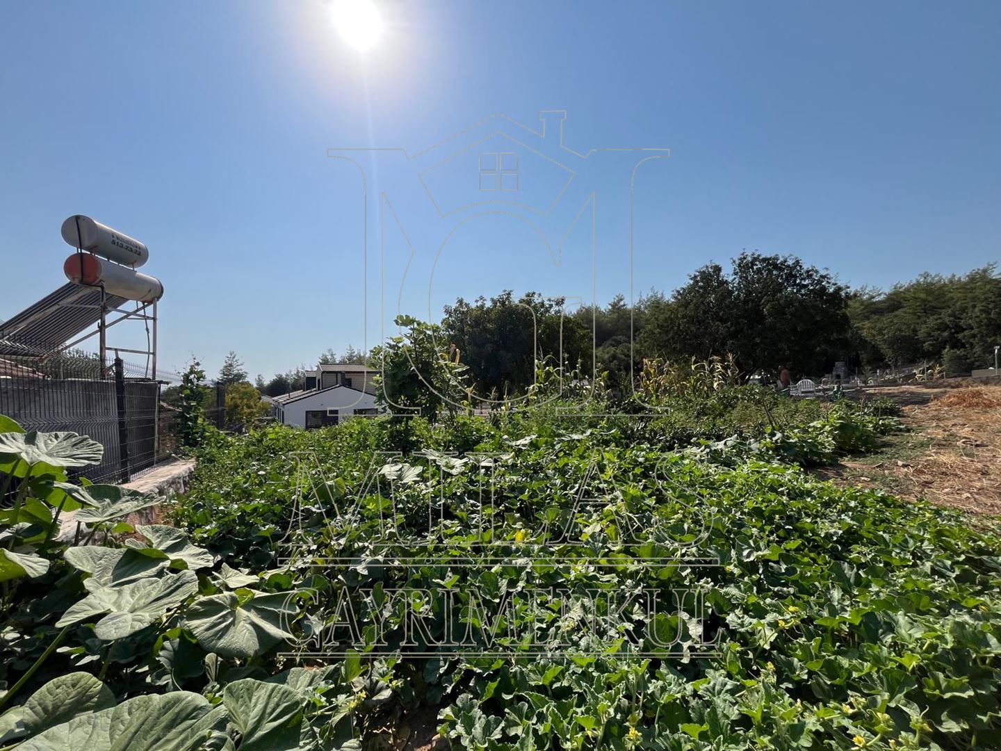 Milas'ta 1600 M² Bahçe İçinde Satılık VillaMuğla, Milas, Aslanyaka - 9