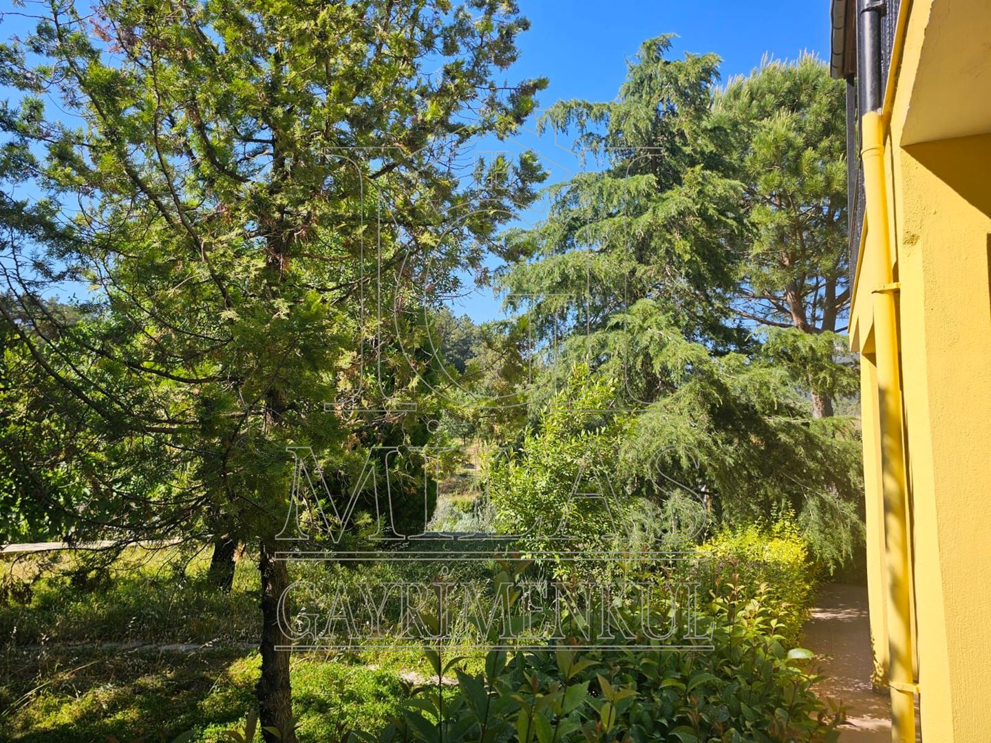 BÜYÜK FIRSAT Milas Korucukta Müstakil Villa Ve 6 Villalık ArsasıMuğla, Milas, Korucuk - 8