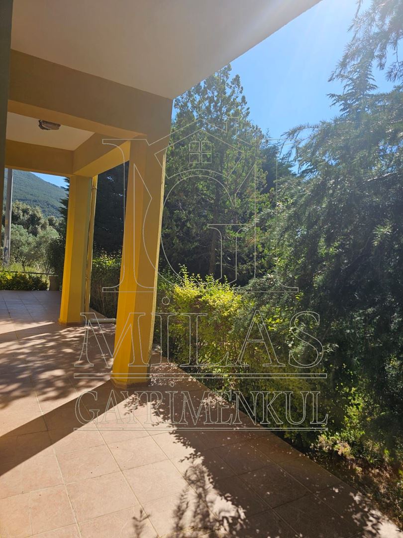 BÜYÜK FIRSAT Milas Korucukta Müstakil Villa Ve 6 Villalık ArsasıMuğla, Milas, Korucuk - 10