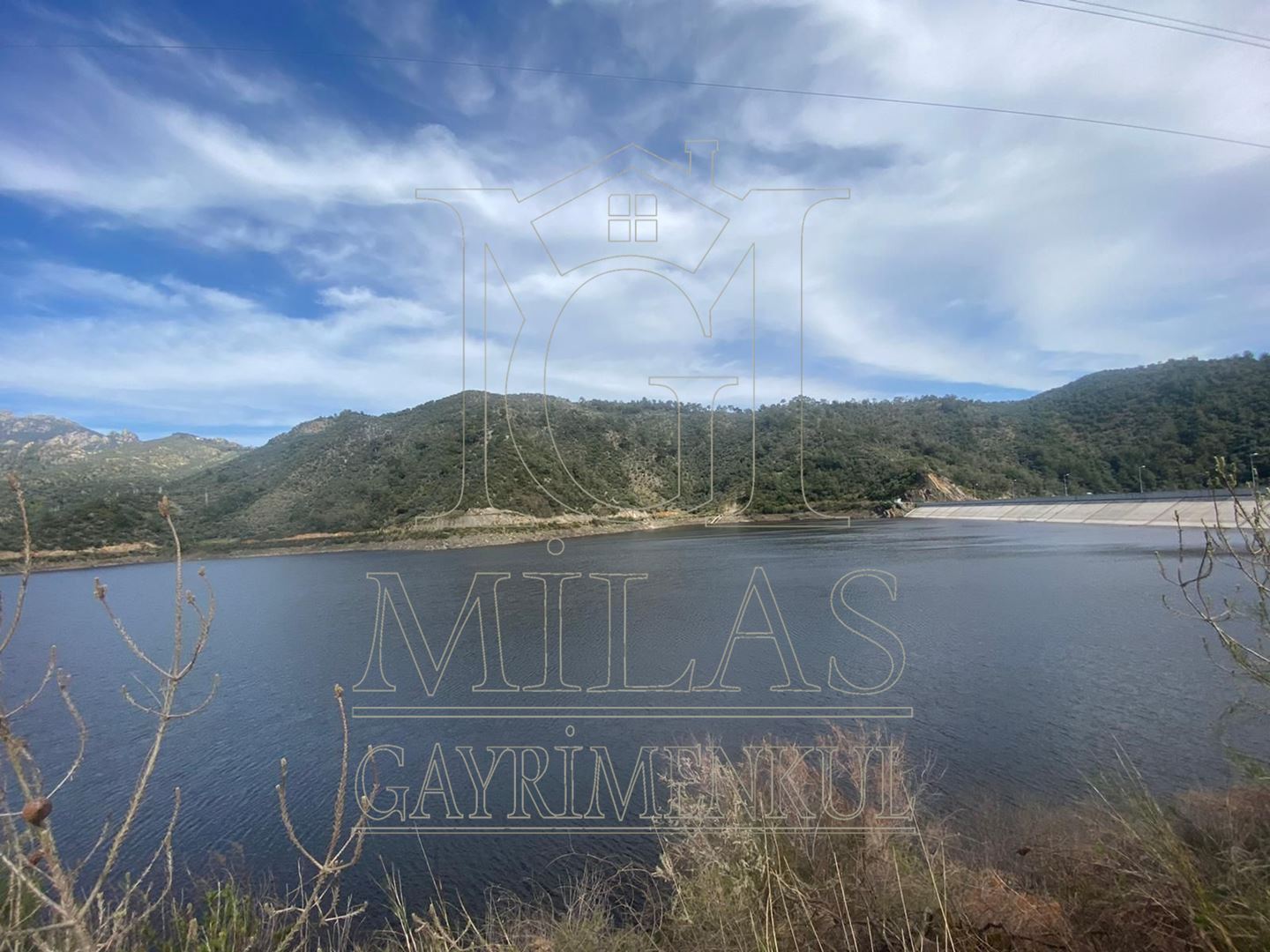 Milas Günlük Mahallesinde 1526 M² Satılık Köy İçi ZeytinlikMuğla, Milas, Günlük - 7