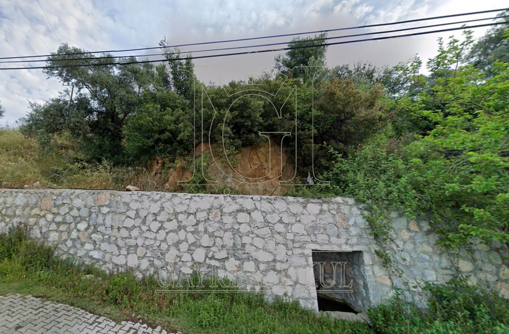 Milas Günlük Mahallesinde 1526 M² Satılık Köy İçi ZeytinlikMuğla, Milas, Günlük - 2