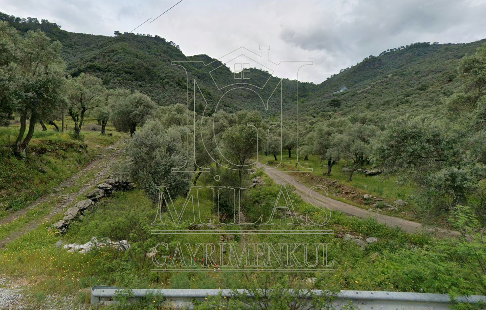 Milas Günlük Mahallesinde Baraj Manzaralı 4366 m² ZeytinlikMuğla, Milas, Günlük - 4