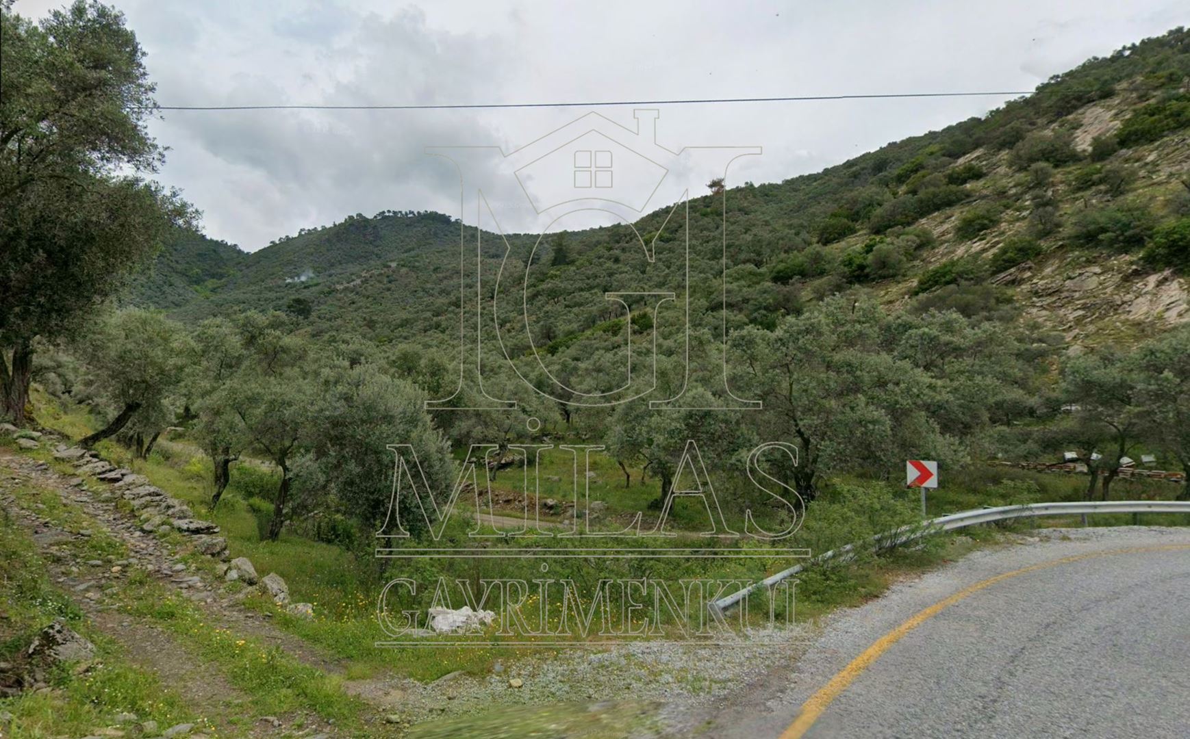 Milas Günlük Mahallesinde Baraj Manzaralı 4366 m² ZeytinlikMuğla, Milas, Günlük - 2