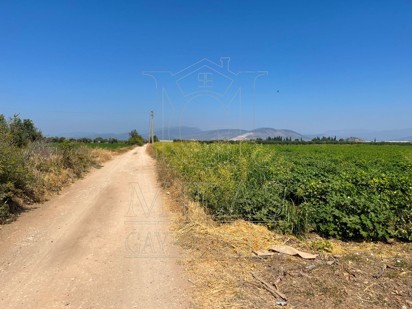 Milas Ağaçlıhöyük'te Satılık 45 Dönüm Verimli Çiftlik ArazisiMuğla, Milas, Ağaçlıhüyük - 15