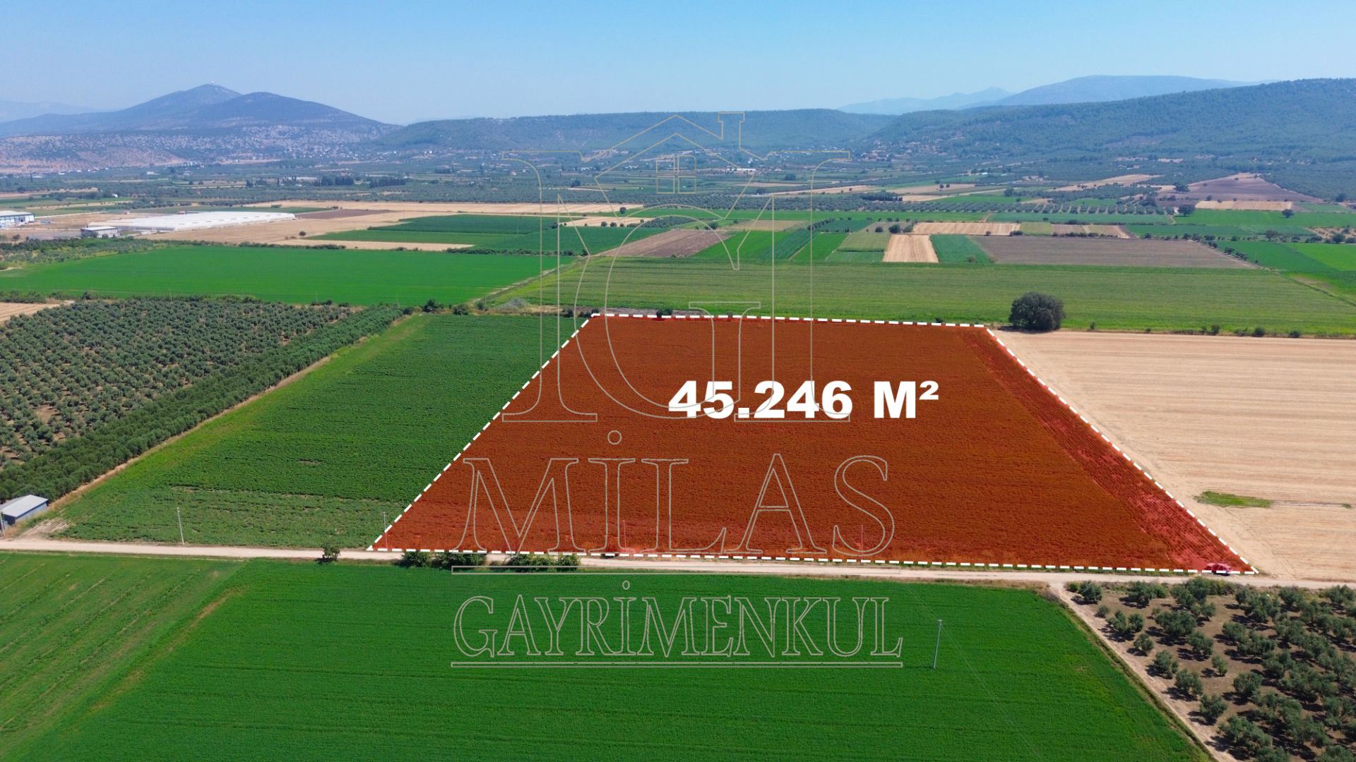 Milas Ağaçlıhöyük'te Satılık 45 Dönüm Verimli Çiftlik ArazisiMuğla, Milas, Ağaçlıhüyük