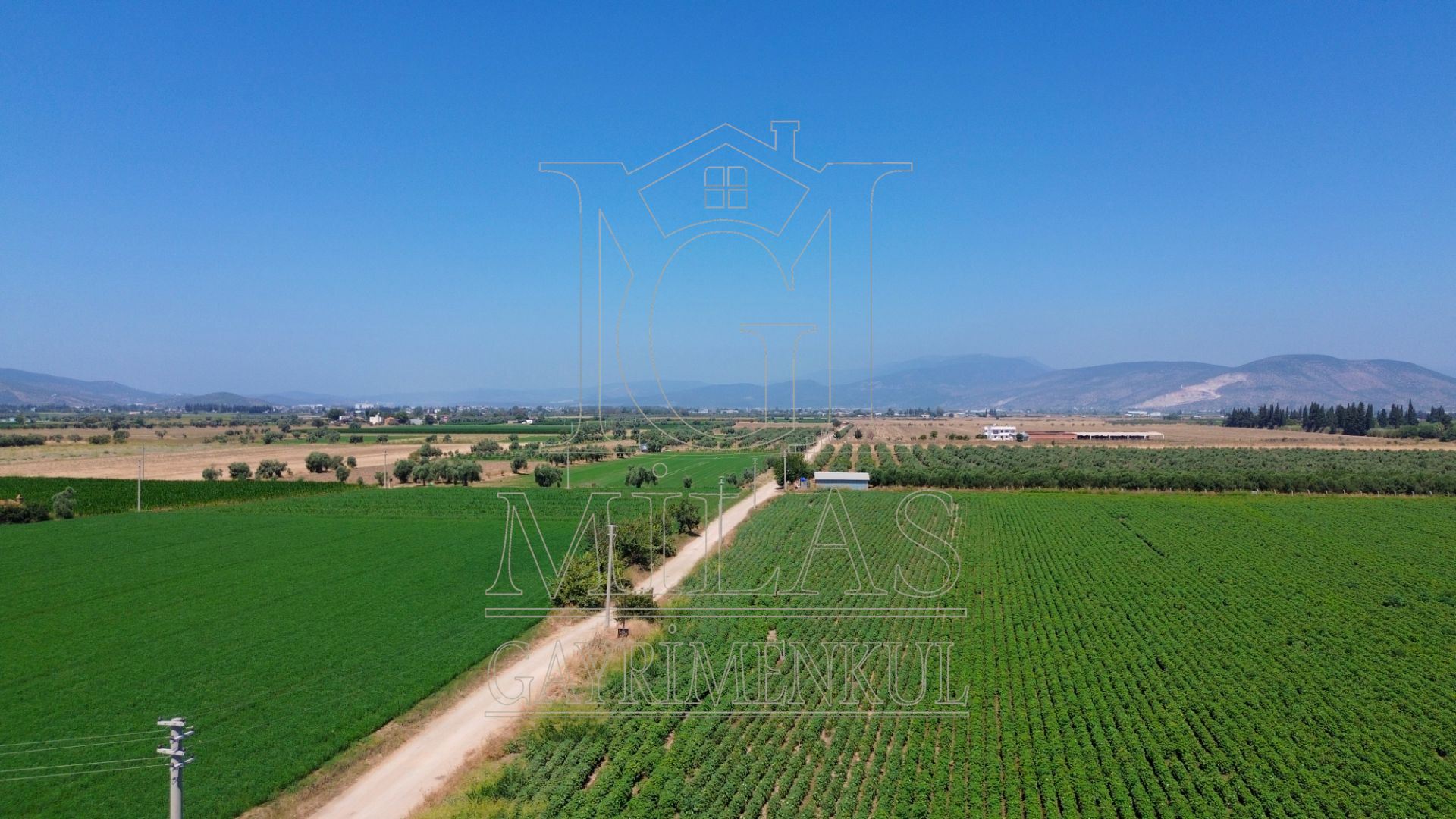 Milas Ağaçlıhöyük'te Satılık 45 Dönüm Verimli Çiftlik ArazisiMuğla, Milas, Ağaçlıhüyük - 8