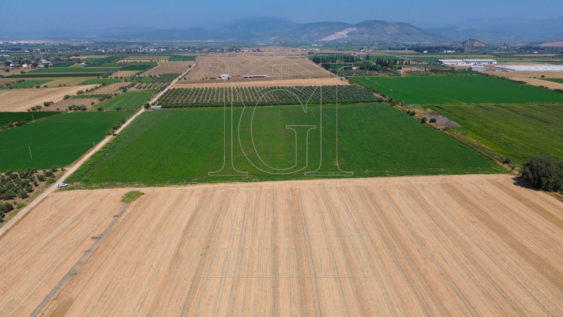 Milas Ağaçlıhöyük'te Satılık 45 Dönüm Verimli Çiftlik ArazisiMuğla, Milas, Ağaçlıhüyük - 4