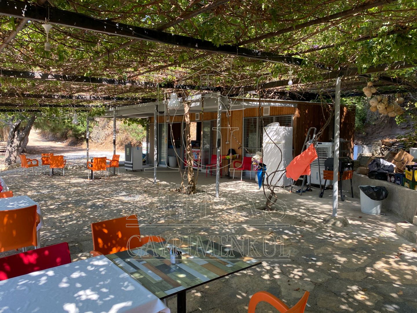 Milas Boğaziçi Adabükü'nde Kesintisiz Full Deniz Manzaralı DaireMuğla, Milas, Boğaziçi - 9