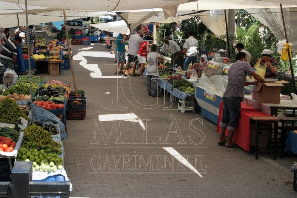 Milas Boğaziçi Adabükü'nde Kesintisiz Full Deniz Manzaralı DaireMuğla, Milas, Boğaziçi - 42