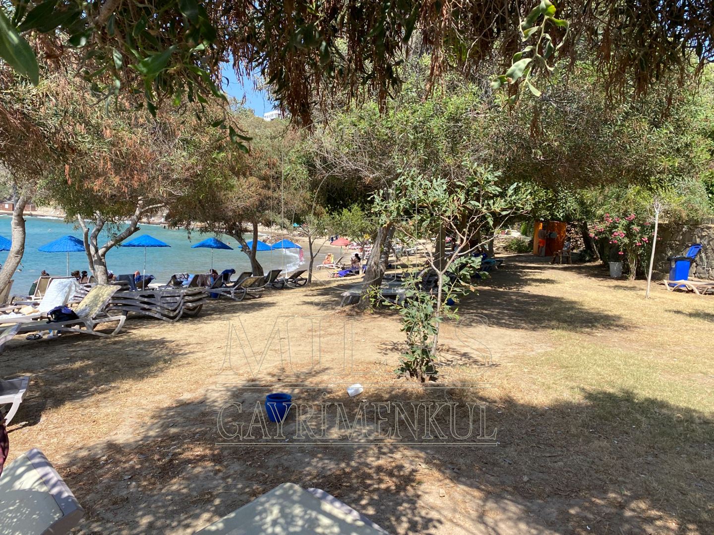 Milas Boğaziçi Adabükü'nde Kesintisiz Full Deniz Manzaralı DaireMuğla, Milas, Boğaziçi - 10